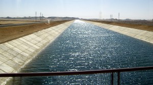 توقعاتى فى ظل التخبط الإداري والتخطيطي أن يكون مصير عدد من المشاريع والقرارات التى ستصدر الآن مصير سابقاتها