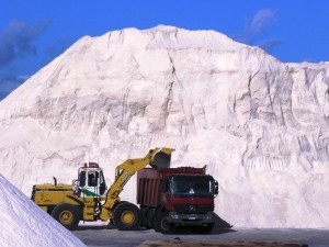 salt5