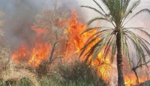 صورة أرشيفية لحريق في سيوة
