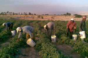 workers